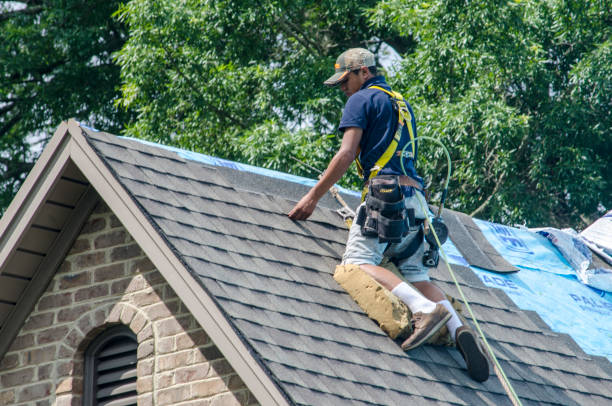 Best Roof Repair Services  in Mckeesport, PA